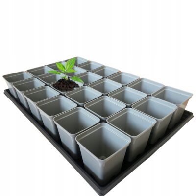 Szary zestaw do rozsady: Taca 60x40 cm + 24x Doniczka P9 0.5L