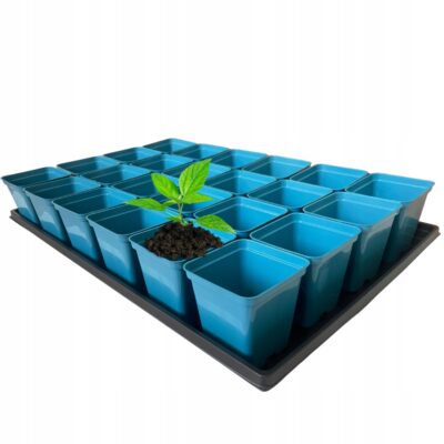 Niebieski zestaw do rozsady: Taca 60x40 cm + 24x Doniczka P9 0.5L