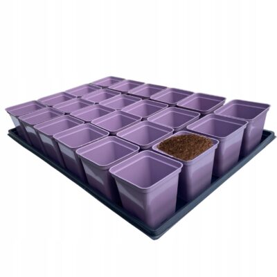 Fioletowy zestaw do rozsady: Taca 60x40 cm + 24x Doniczka P9 0.5L