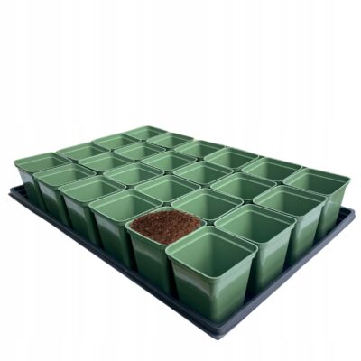 Zielony zestaw do rozsady: Taca 60x40 cm + 24x Doniczka P9 0.5L
